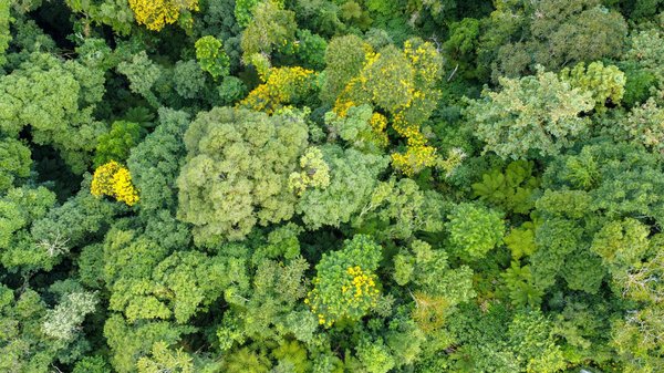 Les périls cachés de la pollution intérieure : une menace invisible, mais omniprésente